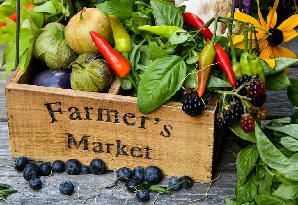 farmers-markets-in-southwest-florida